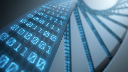 區(qū)塊鏈技術(shù)將如何改變我們的生活？